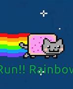 Image result for Cat with Rainbow Know Your Meme