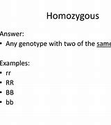 Image result for What Is Homozygous Dominanty