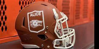 Image result for Alice Coyotes Logo