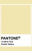 Image result for Pastel Yellow Color Palette