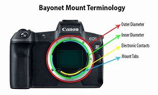 Image result for Different Types of Camera Holder