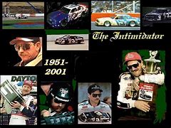 Image result for Dale Earnhardt Jr. Art