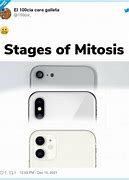 Image result for iPhone 11 Mitosis
