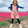 Image result for The Netherlands Tulip Fields