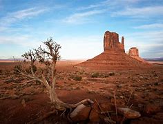 Image result for Arizona Desert Landscape