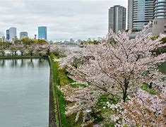 Image result for Osaka Japan Scenery