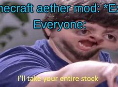 Image result for Minecraft Aether Meme