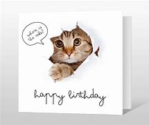 Image result for Funny Cat Birthday Cards