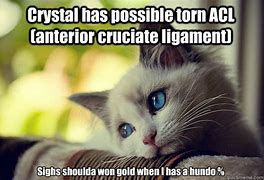 Image result for Funny ACL Memes