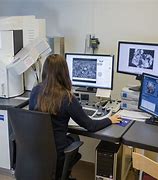 Image result for Scanning Electron Microscopy Sem