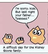 Image result for How to Lose a Kidney Meme