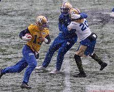 Image result for Brian Sopatyk Canadian Football