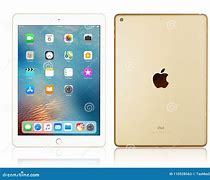 Image result for iPad Gold Back