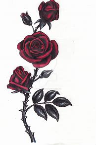 Image result for Gothic Rose Drawings