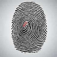 Image result for Fingerprint Vector Icon