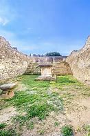 Image result for Pompeii Bodies Preserved