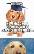 Image result for Funny Dog Memes About School