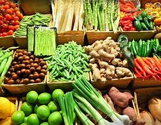 Image result for agroalimentario