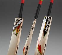 Image result for Best Cricket Bat in the World