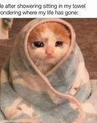 Image result for Crying Cat Finance Meme