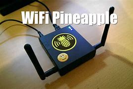 Image result for Pineapple Wi-Fi 4 Antenna