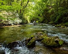 Image result for creeks