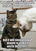 Image result for Positive Cat Memes