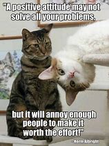 Image result for Cat Attitude Meme