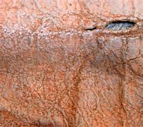 Image result for Ripped Leather