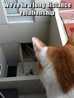 Image result for Long Distance Relationship Fridge Meme