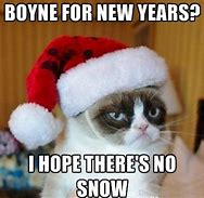 Image result for Girl Cat Meme New Year's