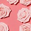 Image result for Pink Rose iPhone Wallpaper