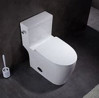 Image result for Toilets That Are 19 Inches High