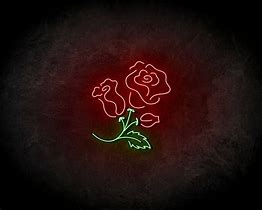 Image result for Neon Rainbow Roses