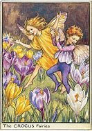 Image result for Garden Fairies