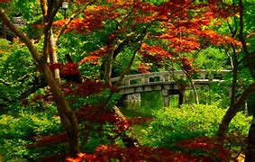 Image result for japanese gardens wallpapers 4k