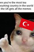 Image result for Turkish Cat Meme