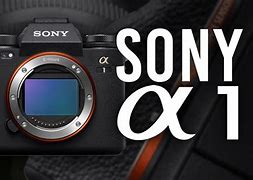 Image result for Sony Alpha 1 5.0MP Mirrorless