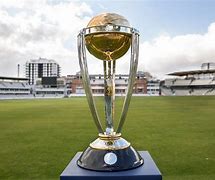 Image result for Most Cricket World Cup Wins