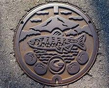 Image result for Japanese Sewer Grate