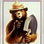 Image result for Smokey the Bear Sol Meme