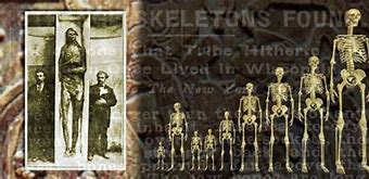 Image result for WW1 Skeletons