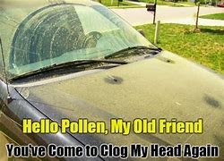 Image result for Allergy Sneeze Meme