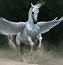 Image result for pegasus