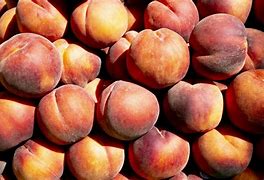 Image result for Georgia State Fruit Peach