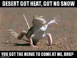 Image result for Desert Heat Meme