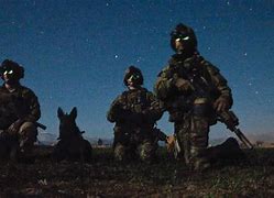 Image result for United States Millitary Forces