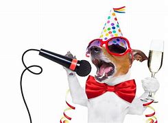 Image result for New Year Celebrationwith Dog