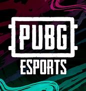 Image result for Pubg eSports Logo