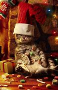 Image result for Funny Christmas Ginger Cat